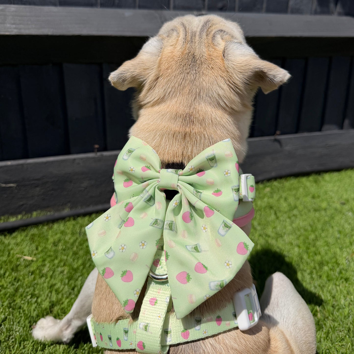 Matcha Made In Heaven Sailor Bow