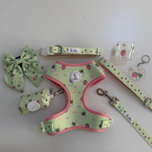 Matcha Made In Heaven Ultimate Bundle