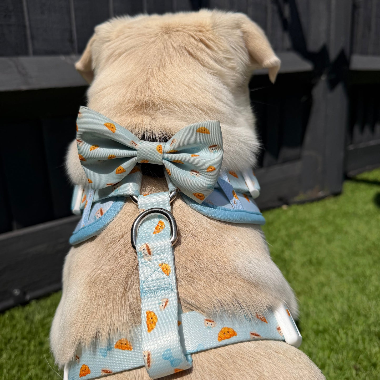 Posie’s Pawtisserie Blue Bow Tie