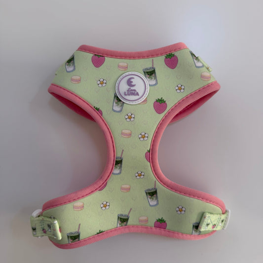 Matcha Made In Heaven Harness